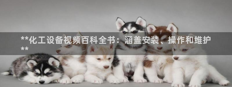 门徒娱乐注册下载安卓