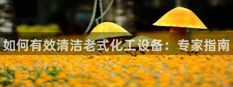 门徒娱乐入.门徒娱乐.几年了.长久.中国