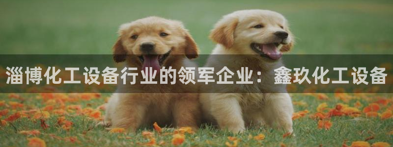 门徒平台代理