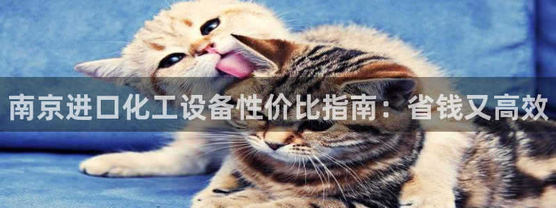 门徒娱乐创始人简介