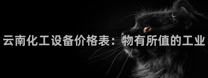 门徒娱乐公司介绍