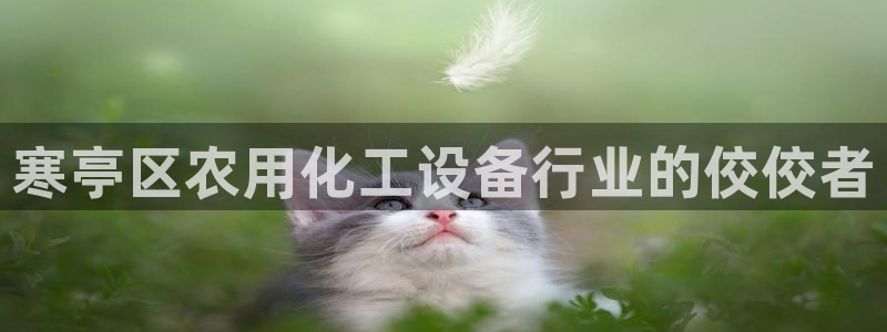 门徒平台是什么