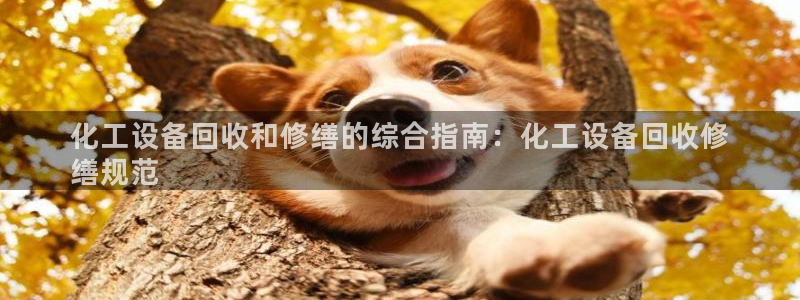 门徒平台型7O777