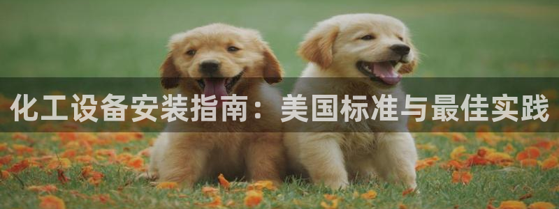 门徒娱乐服务器在哪里