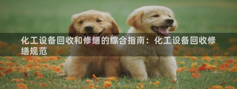 门徒娱乐注册官网