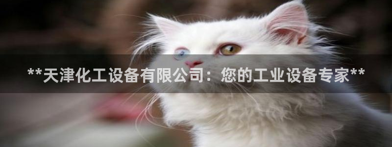 门徒娱乐注册下载