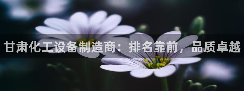 门徒平台指定入口