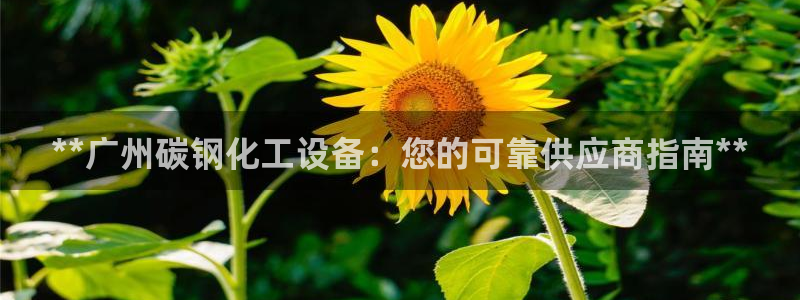 门徒娱乐平台下载官网