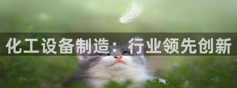 门徒平台登录步骤是什么