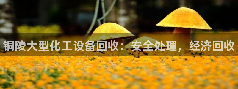 门徒平台注册登陆失败怎么办