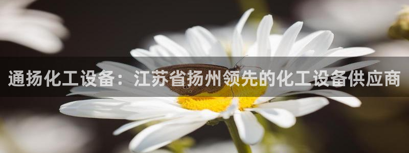门徒平台建 411o31 门徒