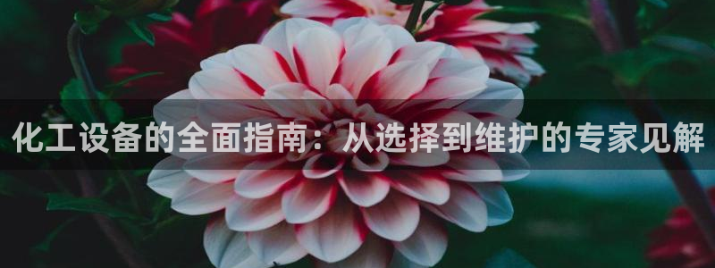 门徒娱乐项目介绍