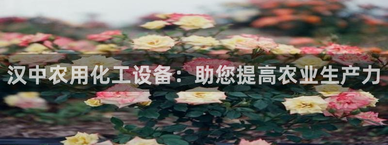 门徒娱乐平台登录官网