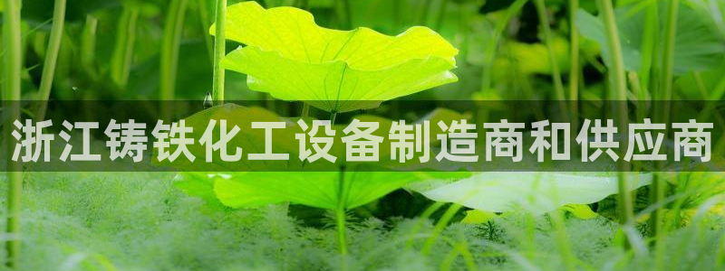 门徒娱乐总代理电话号码