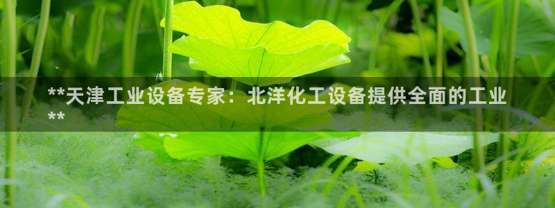 门徒在哪个平台