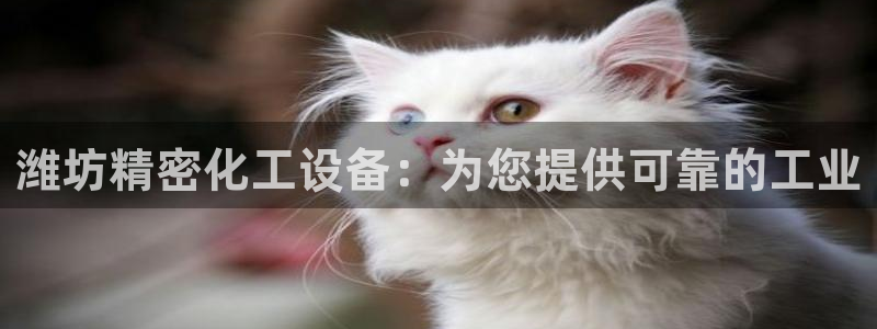 门徒平台代理