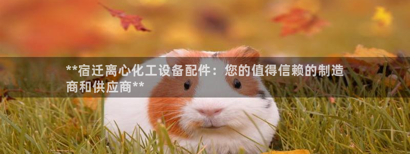 门徒平台二7O777
