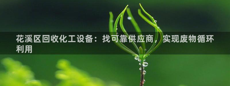门徒平台是什么