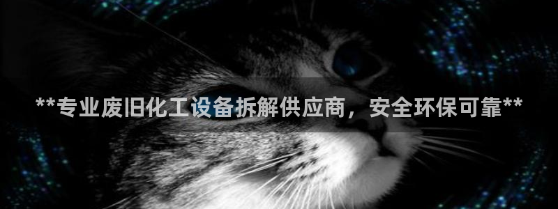 门徒平台代理怎么做