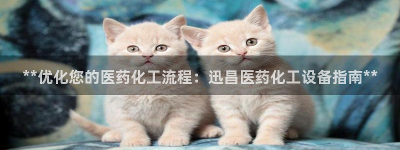 门徒娱乐：**优化您的医药化工流程：迅昌医药化工设