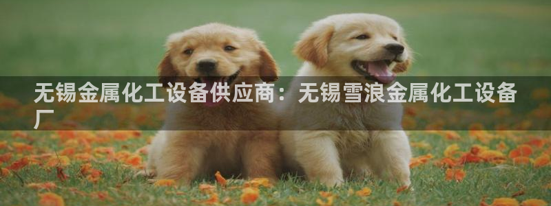 门徒平台注册登陆不上怎么回事