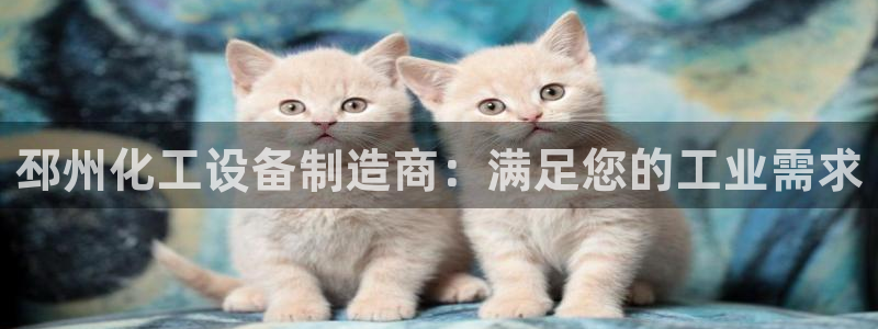 门徒平台注册登陆失败怎么办