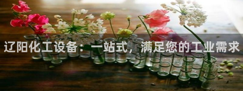 门徒娱乐登录中心官网：辽阳化工设备：一站式，满足您