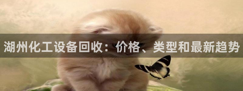 门徒平台途 411031 门徒
