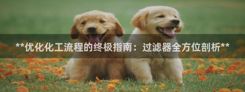 门徒平台官网首页