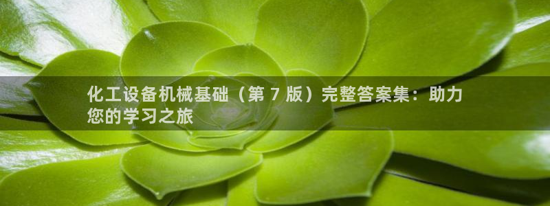 娱乐门徒txt