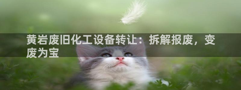 门徒娱乐能玩吗