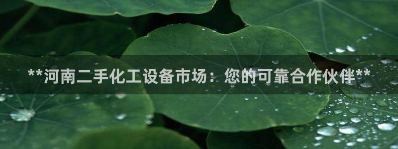 门徒娱乐平台登录1990