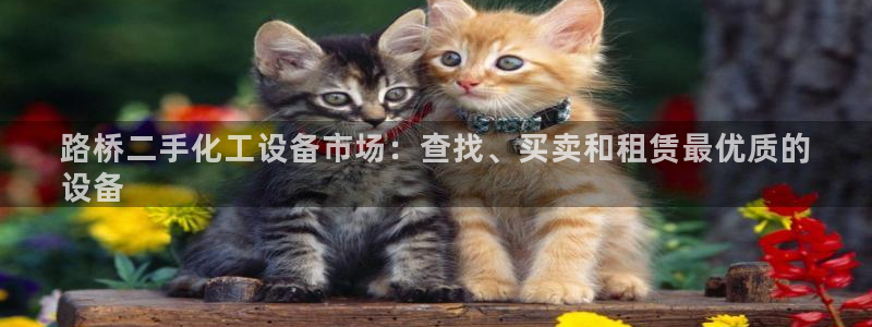 门徒娱乐平台下载官网：路桥二手化工设备市场：查找、