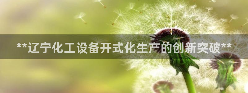 门徒在哪个平台：**辽宁化工设备开式化生产的创新突