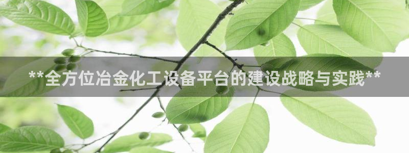 门徒平台理 411o31 门徒