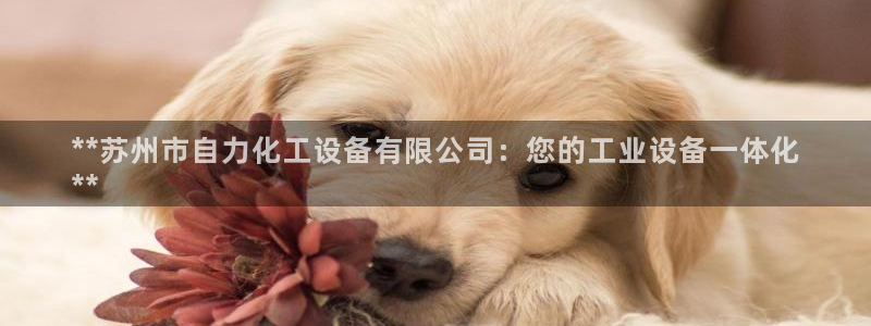 门徒娱乐财神联盟