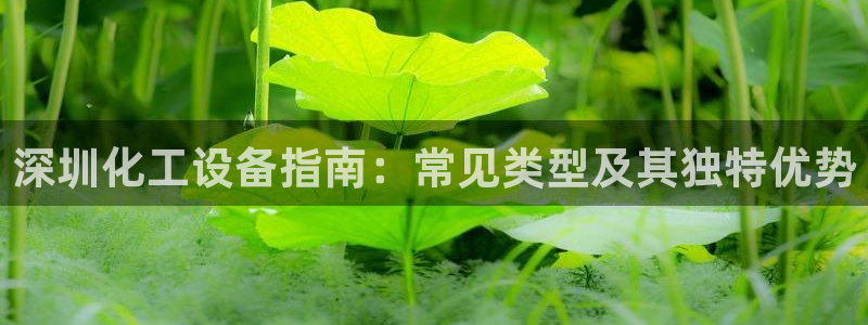 门徒娱乐官网