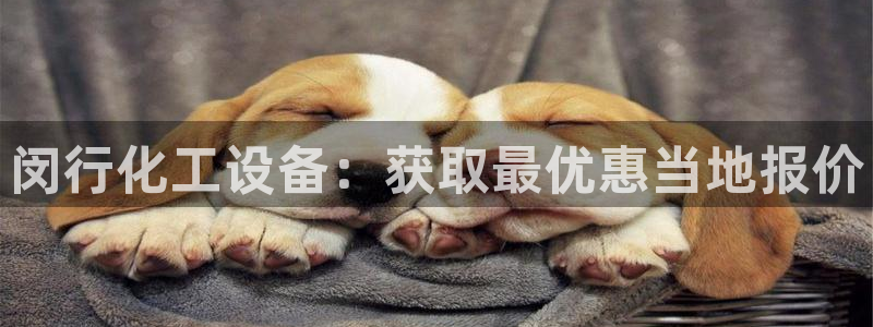 门徒平台注册中心官网