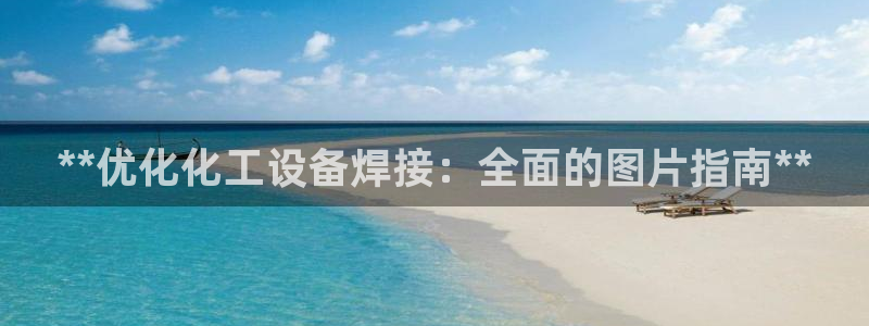门徒娱乐控制器：**优化化工设备焊接：全面的图片指