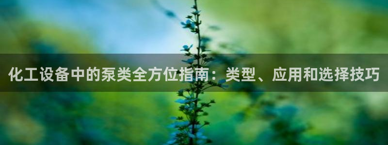 门徒平台测速网址是多少