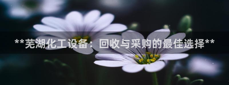 门徒娱乐成功案例有哪些：**芜湖化工设备：回收与采
