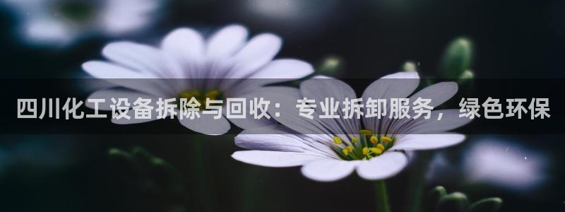 门徒娱乐登录中心：四川化工设备拆除与回收：专业拆卸服务，绿色