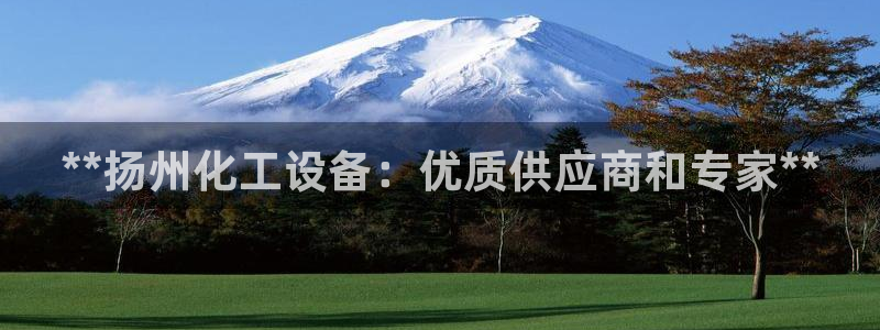 门徒娱乐平台登录1990：**扬州化工设备：优质供应商和专家