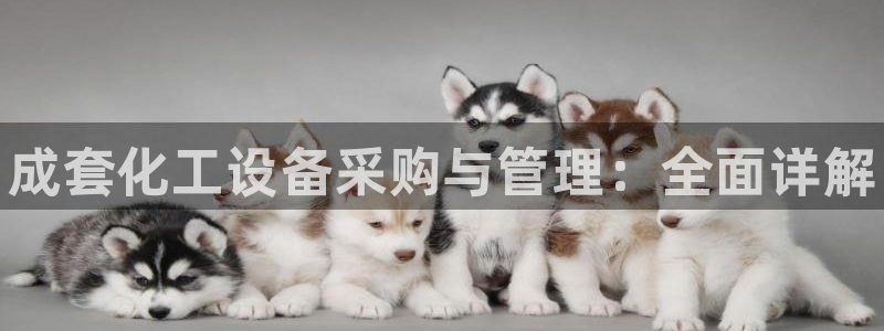 门徒娱乐充值安全吗：成套化工设备采购与管理：全面详