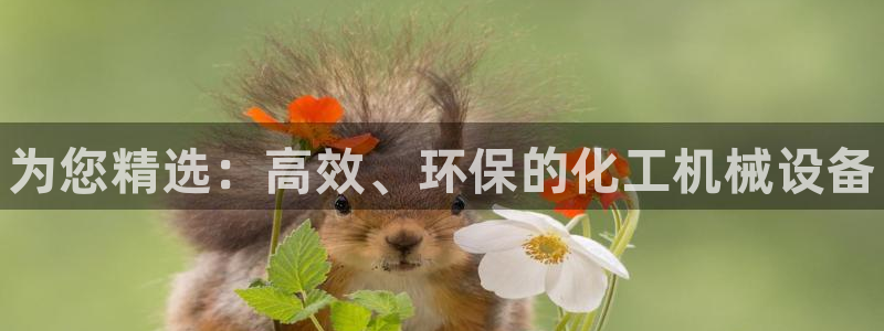 门徒娱乐多长时间了