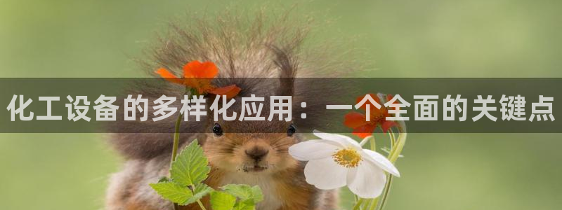 门徒平台推 58534I 平台