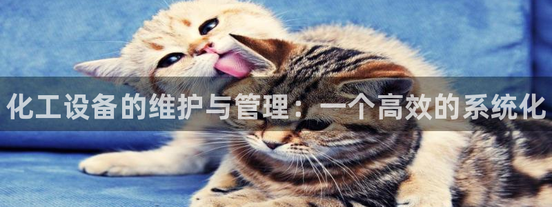 门徒平台注册中心：化工设备的维护与管理：一个高效的