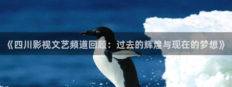 做麻花视频：《四川影视文艺频道回顾：过去的辉煌与现在的梦想》