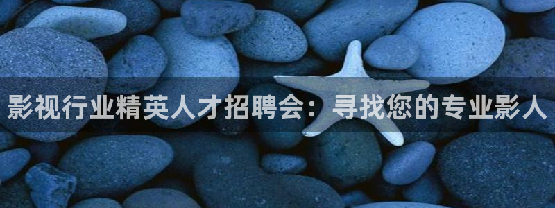 麻花视频怎么免费观看：影视行业精英人才招聘会：寻找您的专业影人