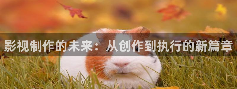 沧元图动漫在线看麻花视频：影视制作的未来：从创作到执行的新篇章